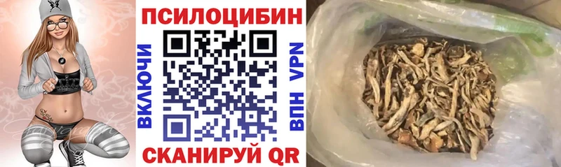 MEGA онион  купить наркотики цена  Полесск  Псилоцибиновые грибы мухоморы 